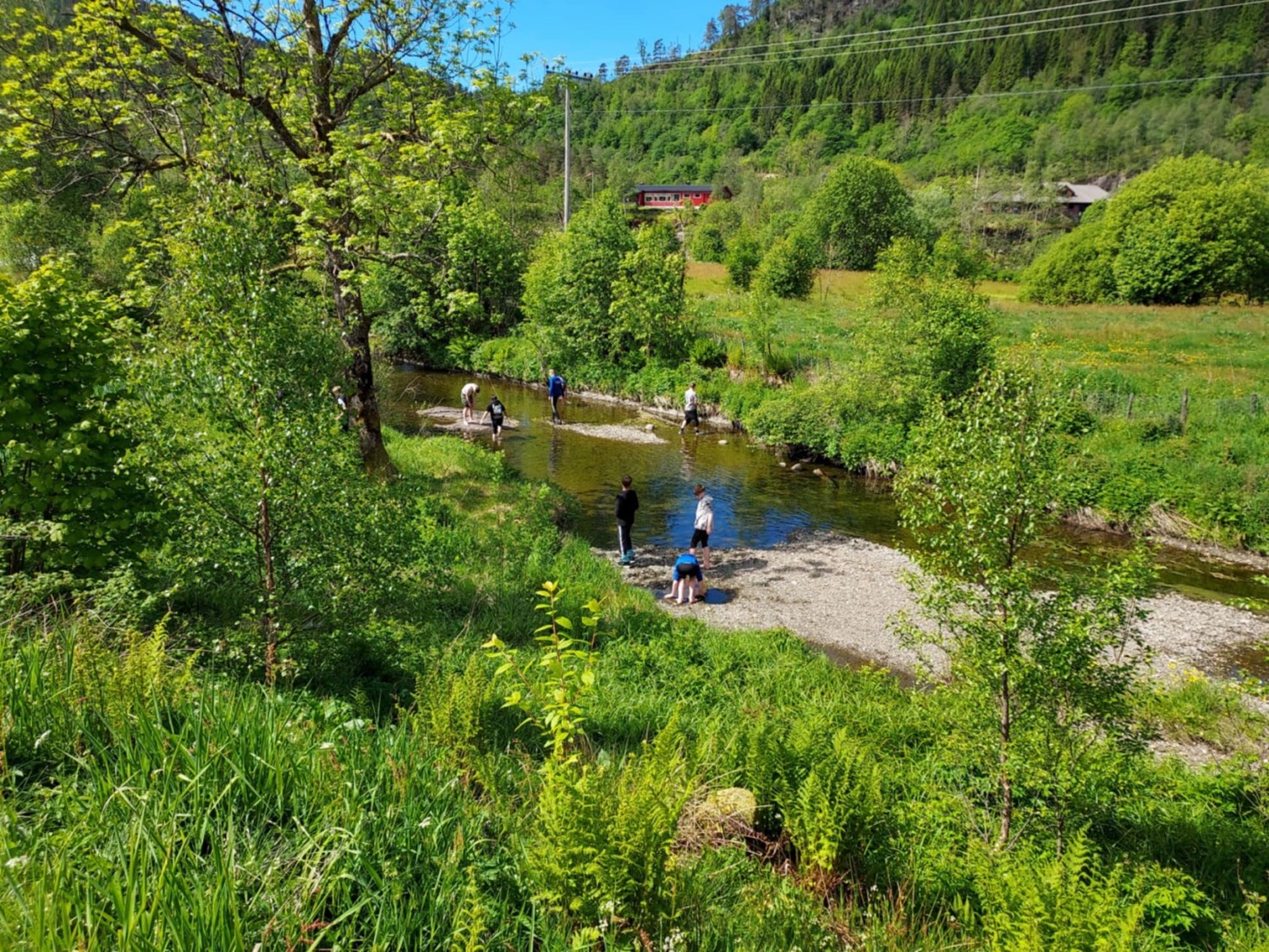Main Image